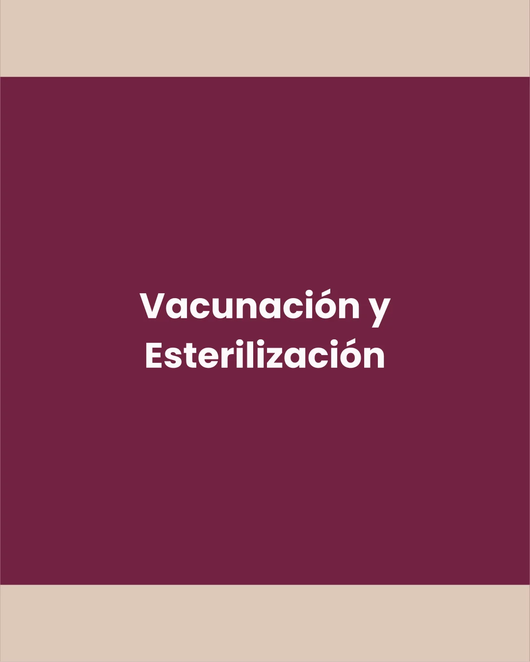 Vacunación y Esterilización